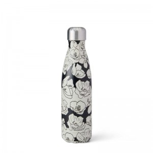 Grey Swell Original Bottle | MEMX7243