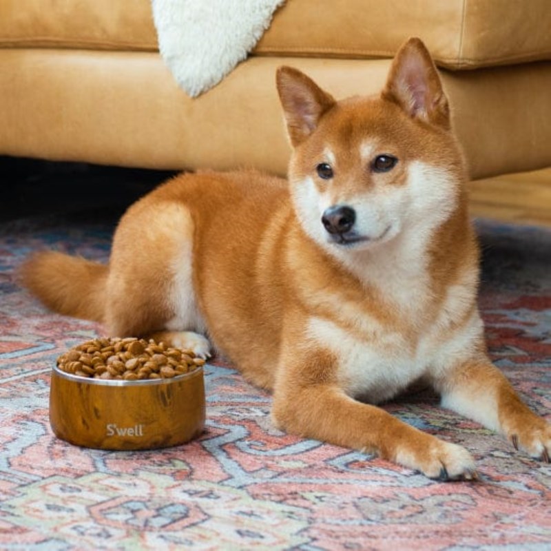 Teakwood Swell Pet Bowl | WUFL5238